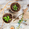 3 Inch Peat Pots for Seedlings, Gardening Seed Starter Pot (192 Pack)