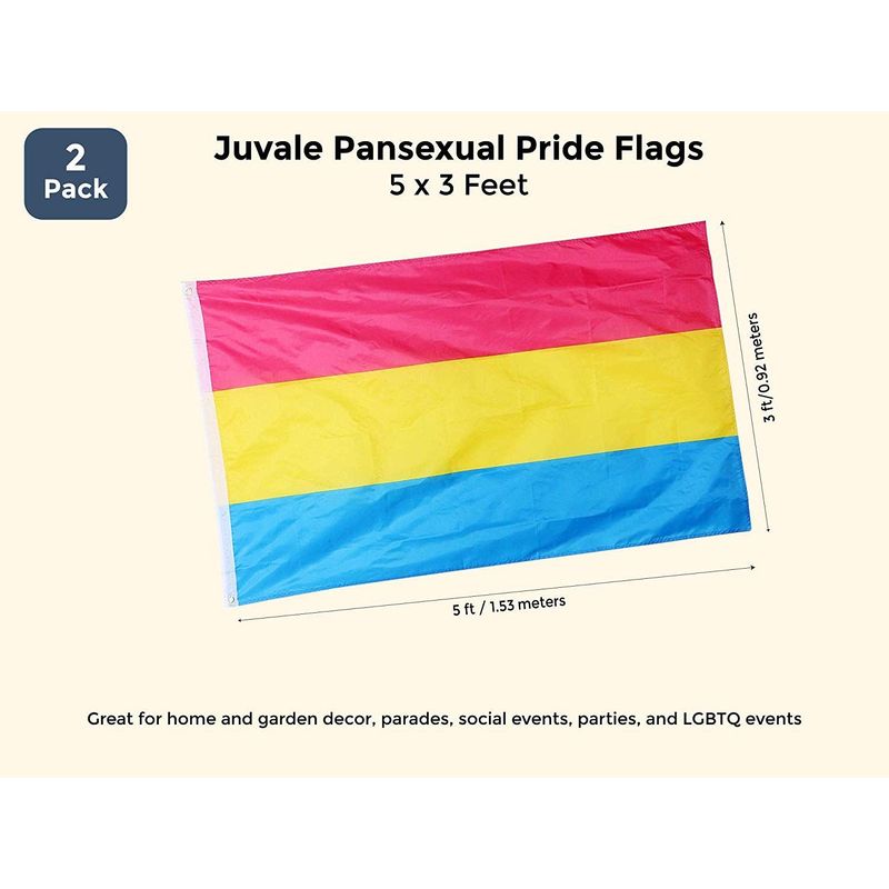 Juvale Pansexual Pride Flags with Brass Metal Grommets (3 x 5 ft, 2 Pack)
