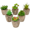 Juvale Artificial Succulents 6 Pack - Cactus Plants with Gray Pots - 4 inch