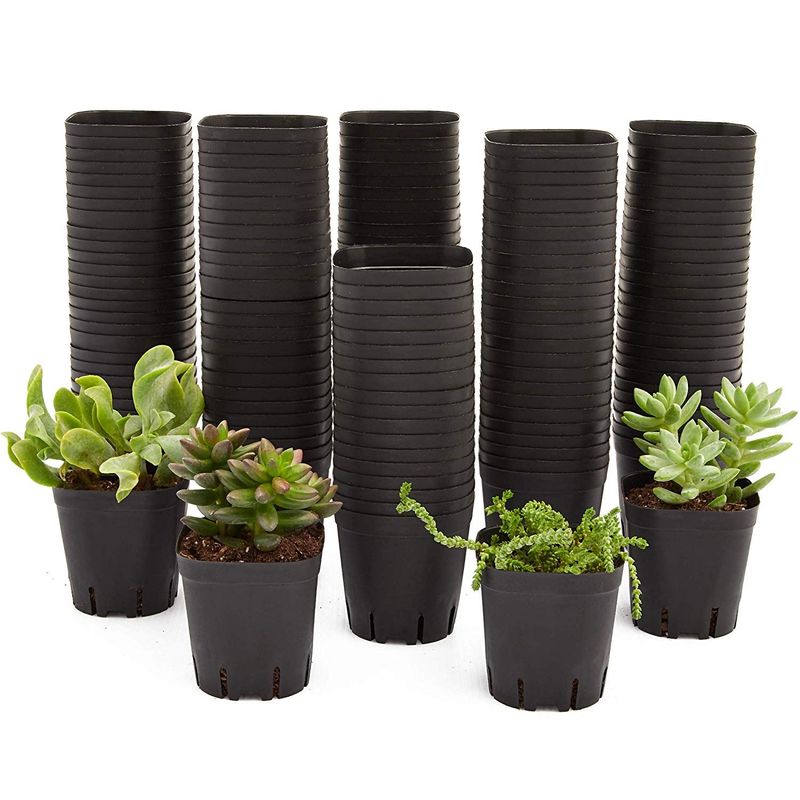 Square Nursery Plastic Flower Pots for Plants, Seedlings (2.6 in, 150 Pack)