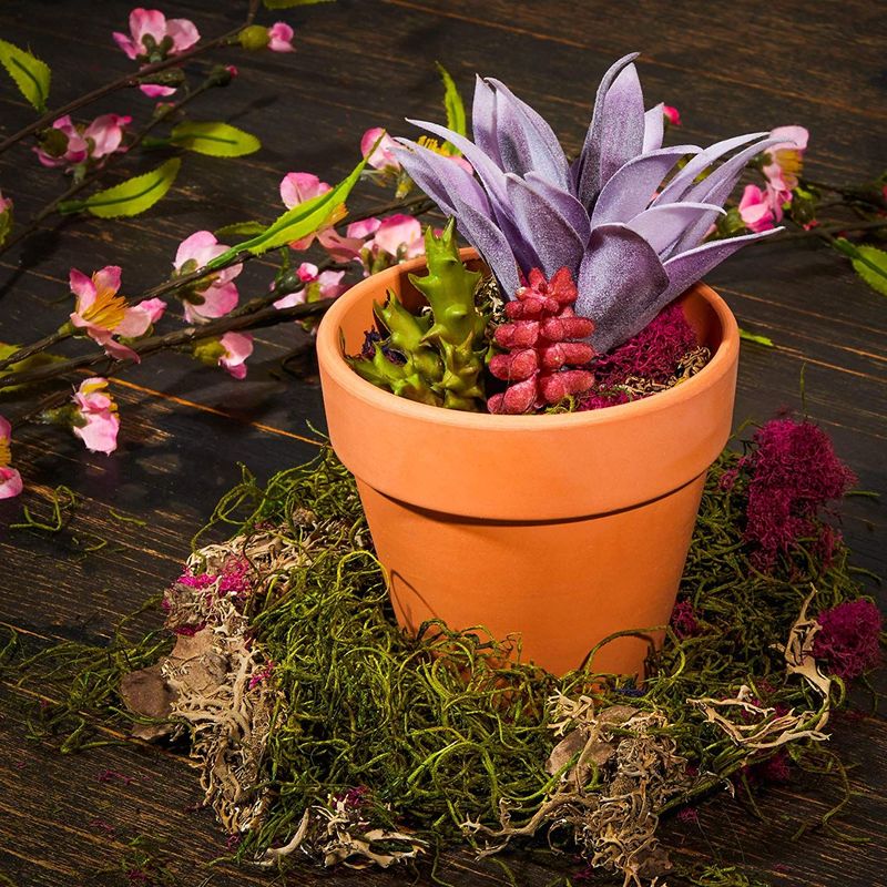 Terra Cotta Pots for Succulents & Flowers (4 in, 6 Pack)