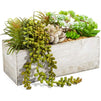 Juvale Artificial Mixed Succulent Plants in Rectangular Wooden Planter Box (9 x 4 in.)