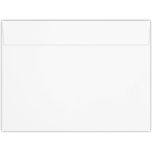 Full Face Window Envelope for Catalog, Magazine, Photos (9 x 12 In, Set of 50)