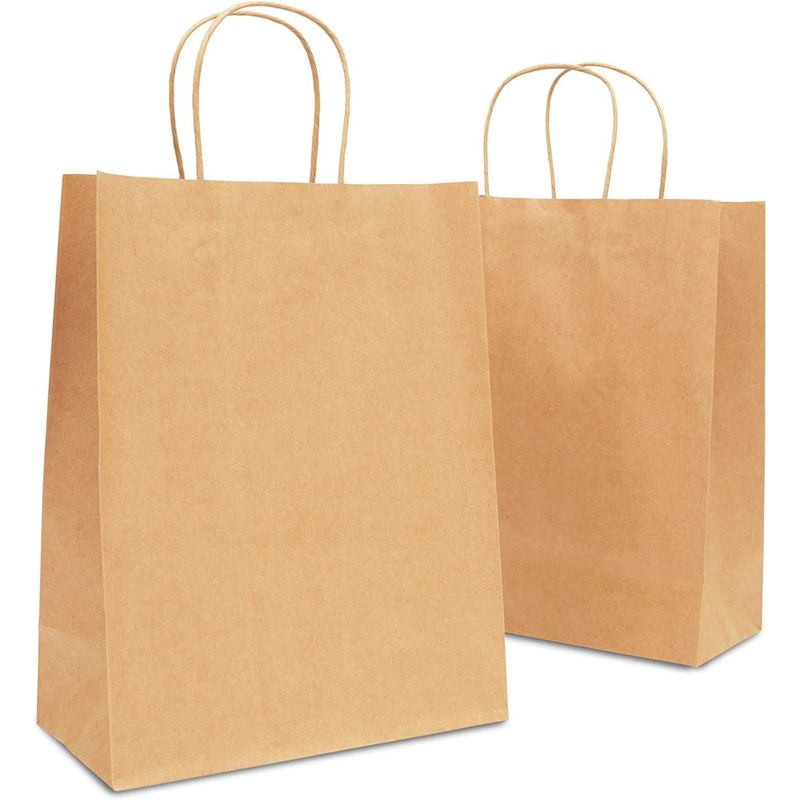 Large Kraft Paper Gift Bags with Handles (Brown, 10 x 13 x 5 Inches, 50 Count)