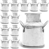 Mini Galvanized Metal Jug for Decoration (2 Inches, 12 Pack)
