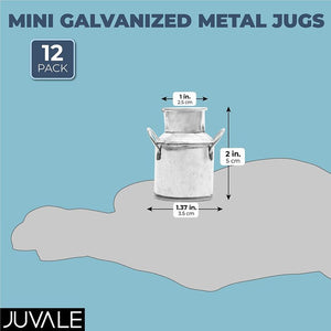 Mini Galvanized Metal Jug for Decoration (2 Inches, 12 Pack)