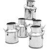 Mini Galvanized Metal Jug for Decoration (2 Inches, 12 Pack)