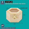 Unfinished Hexagon Wood Jewelry Box with Window and French Buckle (3-Pack)