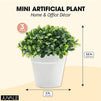 Mini Artificial Plants in White Pots, Home Decor (5 x 5.2 in, 3 Pack)