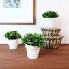 Mini Artificial Plants in White Pots, Home Decor (5 x 5.2 in, 3 Pack)