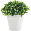 Mini Artificial Plants in White Pots, Home Decor (5 x 5.2 in, 3 Pack)