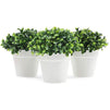 Mini Artificial Plants in White Pots, Home Decor (5 x 5.2 in, 3 Pack)