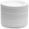 Small White Sugarcane Bagasse Plates, Round Dessert Plates (6 In, 125 Pack)