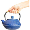 Blue Cast Iron Japanese Teapot with Handle, Infuser, and Trivet (800 ml, 27 oz)