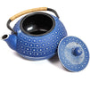 Blue Cast Iron Japanese Teapot with Handle, Infuser, and Trivet (800 ml, 27 oz)