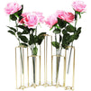 Metal Hinged Plant Stand Set with Glass Test Tube Vases (Gold, 6 Pieces)