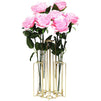 Metal Hinged Plant Stand Set with Glass Test Tube Vases (Gold, 6 Pieces)