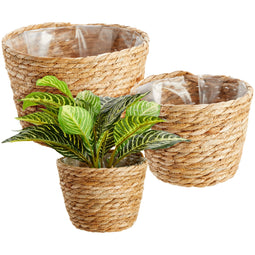 Seagrass Indoor Planter Set with Plastic Lining, 3 Small Woven Wicker Baskets for Plants, Flower (3 Sizes)
