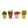 Mini Plastic Flower Pot Planters for Succulents Display (2.3 In, 4 Colors, 24 Pack)