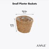 Seagrass Indoor Planter Set with Plastic Lining, 3 Small Woven Wicker Baskets for Plants, Flower (3 Sizes)