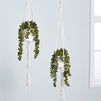 Hanging Artificial String of Pearls Plant with White Ceramic Pot for Wall Decor, House Warming Gift (31 In, 2 Pack)