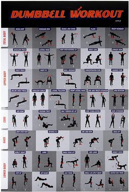 Workout Poster - Dumbbell Exercise Poster Laminated, Free Weight Strength Training Chart, Fitness Guide for Home Gym Weightlifting Routine, Effective Strength Building Exercises, 20 x 30 Inches