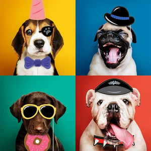 Dog Photo Booth Props for Pet Party Supplies (30 Pieces)