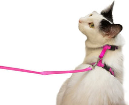 Juvale Pink Small Cat Leash and Harness Set, Adjustable 4.5 Inch Collar (48 Inch Leash)