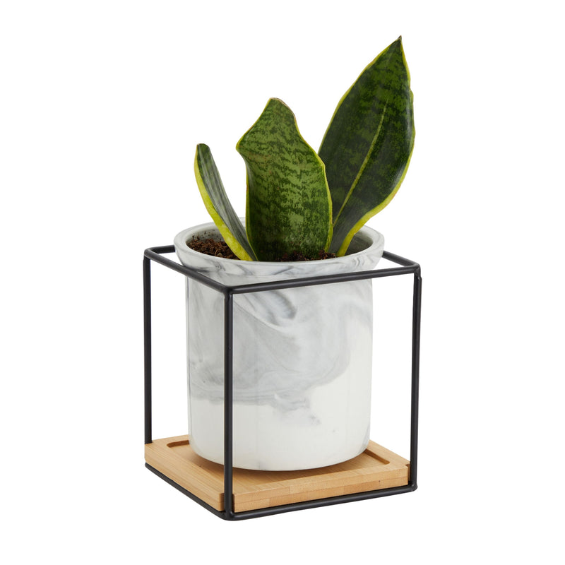2 Pack Small Marble Ceramic Planter with Stand, Drainage Hole, and Saucer for Indoor Plants, Succulents (5x5 Inches)