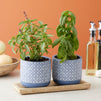 2 Pack 5 Inch Indoor Plant Pots with Drainage Hole, Blue Terracotta Concrete Succulent Planters